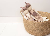 Hazel The Acorn Friend - Mr Pickles