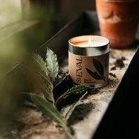 Bay & Rosemary Tin Candle - St Eval
