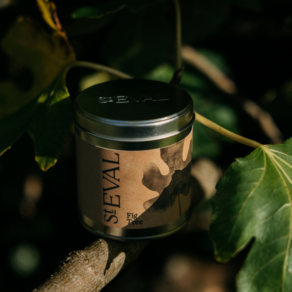 Fig Tree Tin Candle - St Eval