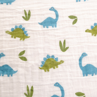 Dinosaurs Swaddle - Ziggle