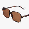 Pascal In Glossy Tortoise - Barner Sunglasses