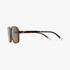 Pascal In Glossy Tortoise - Barner Sunglasses