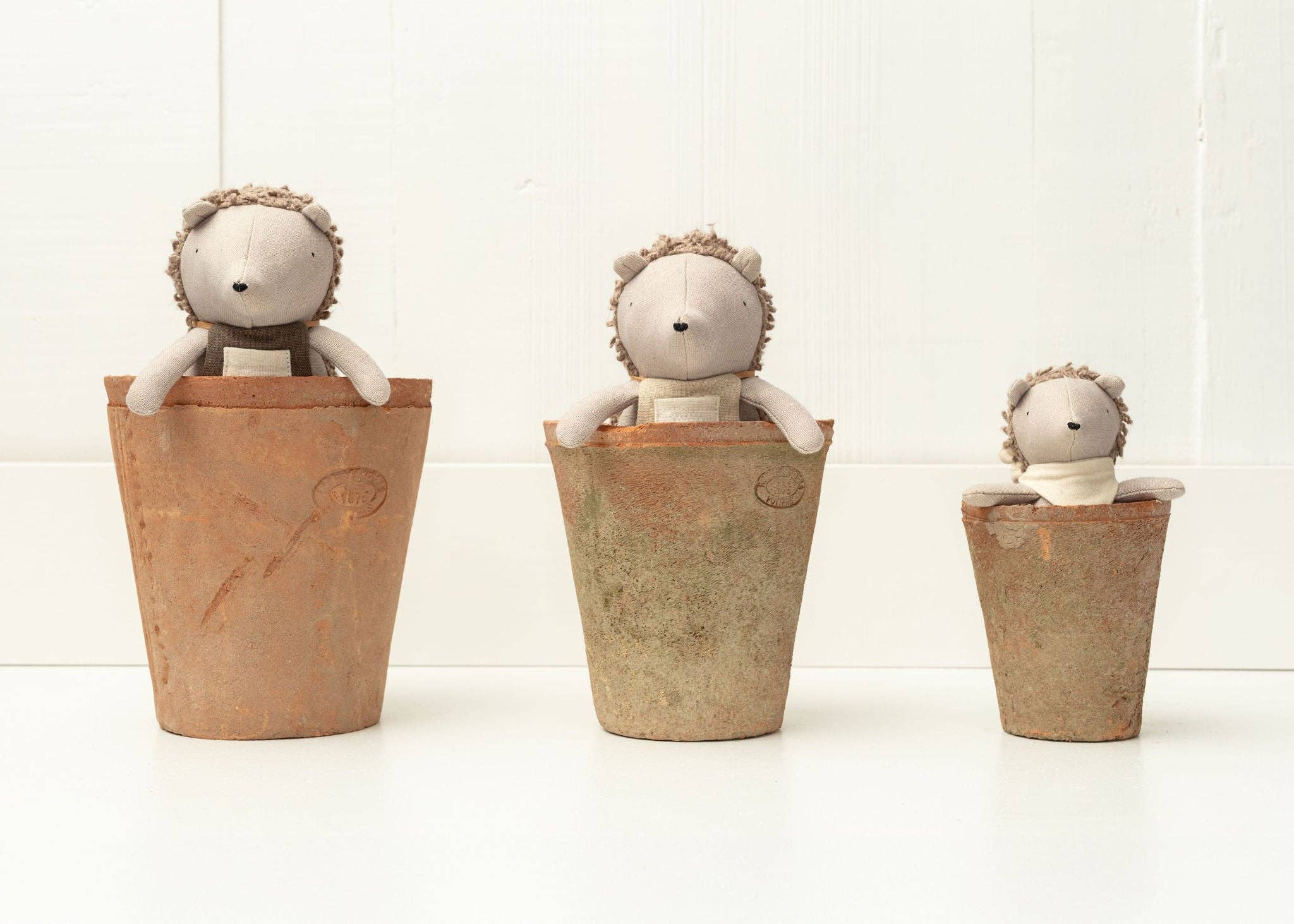 Harold The Hedgehog - Mr Pickles