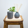 Gray candle and diffuser on a wooden stool with a plant in the background