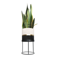 Plant Pot & Stand - Portico Designs