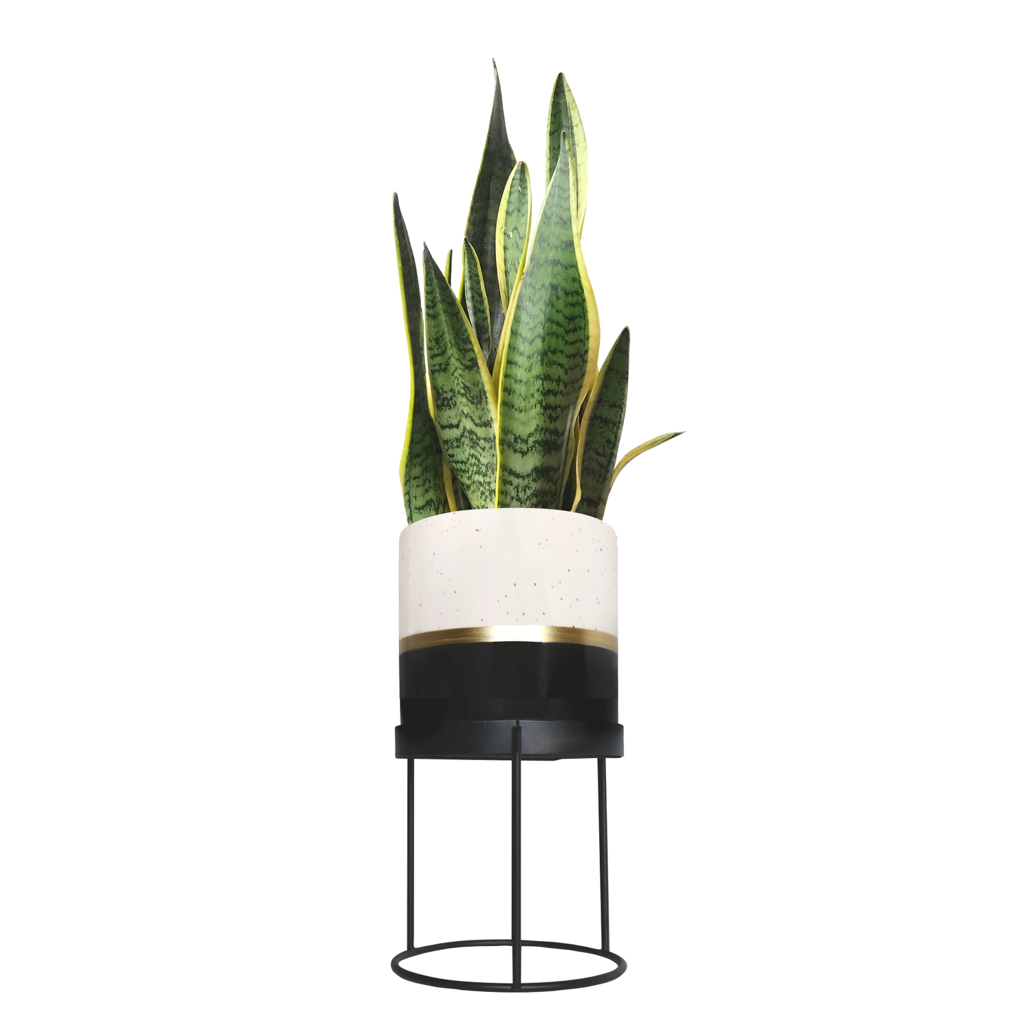 Plant Pot & Stand - Portico Designs